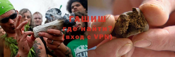 прущие грибы Алзамай